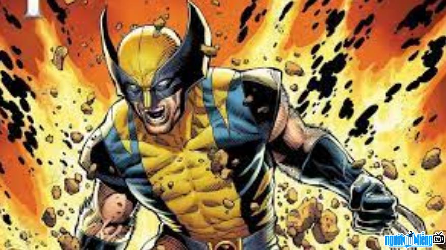 Ảnh của Wolverine