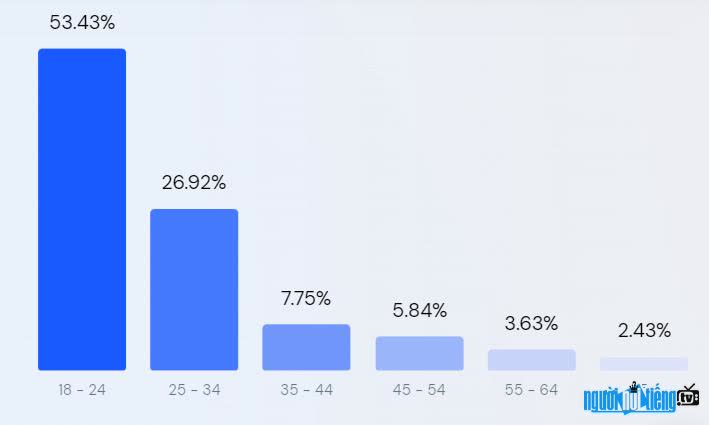 Biểu đồ về độ tuổi khách hàng truy cập trên trang Truyenfull.vn
