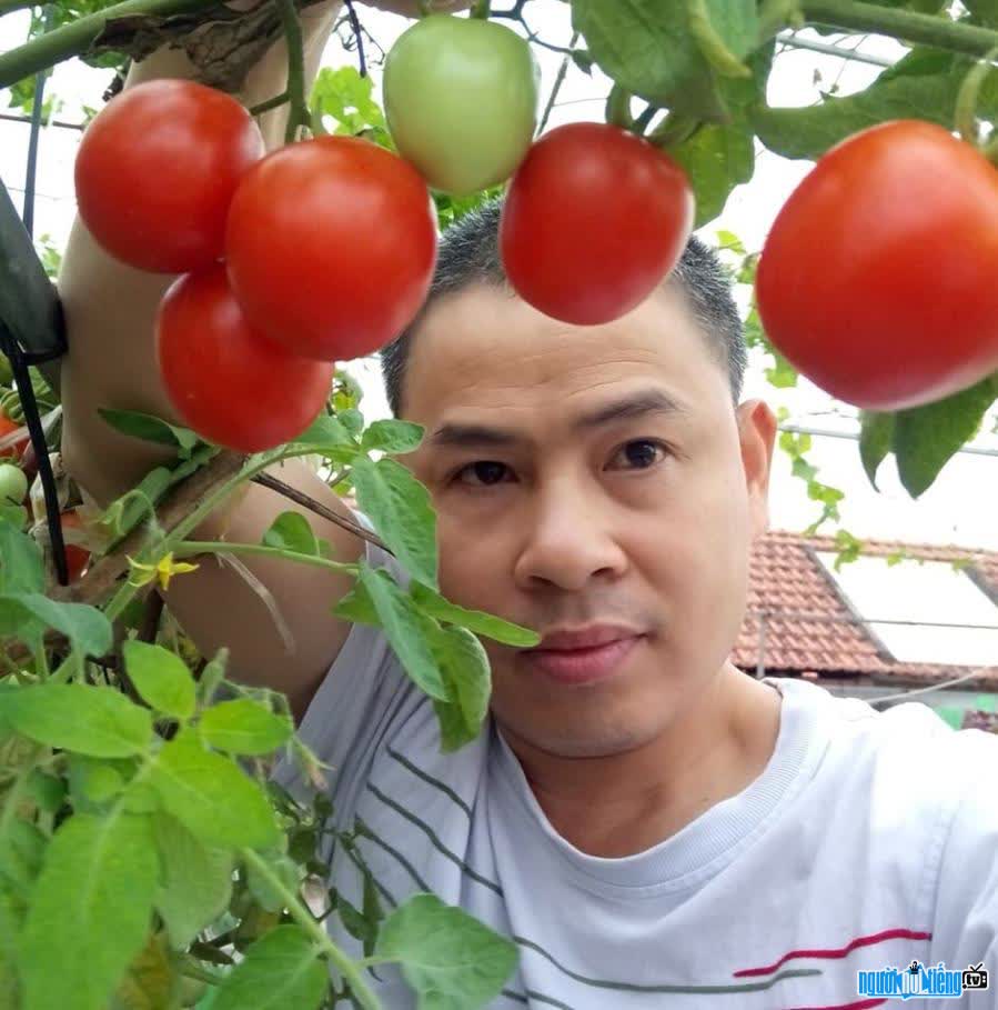 CEO Nguyễn Chí Toàn bên vườn cà chua sai quả