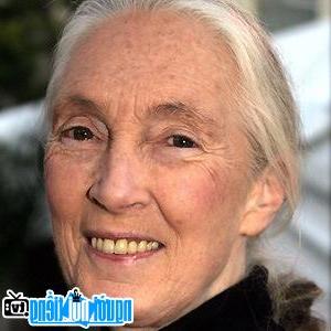 Một hình ảnh chân dung của Nhà khoa học Jane Goodall