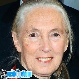 Ảnh chân dung Jane Goodall