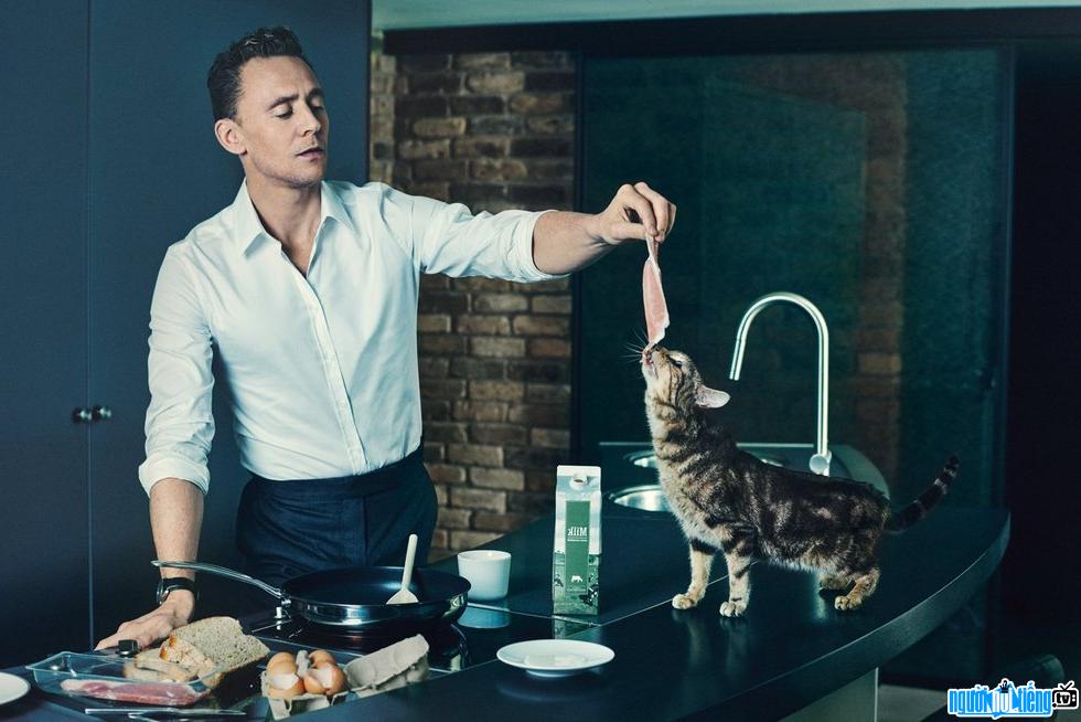 Hình ảnh nam diễn viên Tom Hiddleston đang cho chú mèo cưng của mình ăn