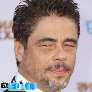 Ảnh của Benicio Del Toro