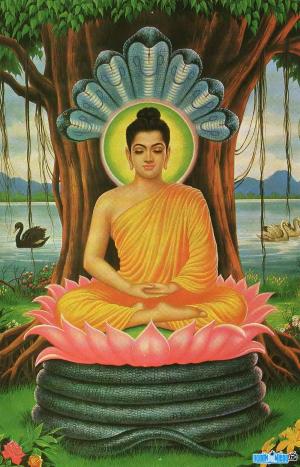 Ảnh Phật Thích-Ca Mâu-Ni