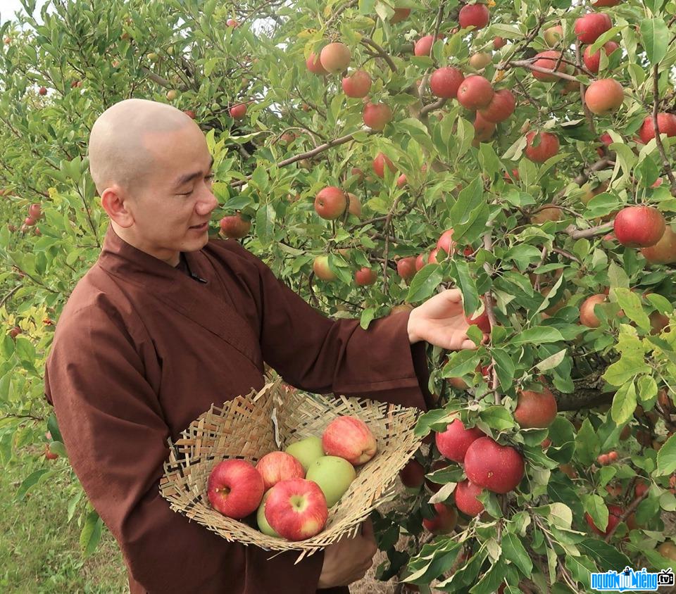  Teacher Thich Tam Nguyen is gentle from the apple orchard