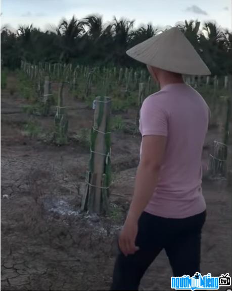  Funny Gaming Tv image returning to Tien Giang hometown to pick dragon fruit