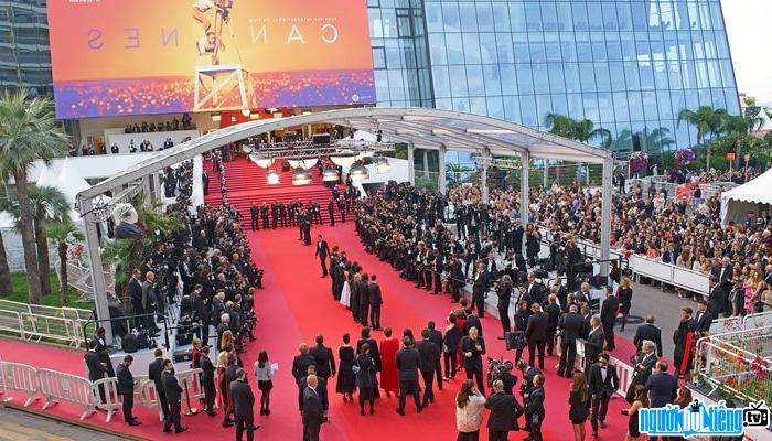  Pictures of artists attending the Cannes Film Festival