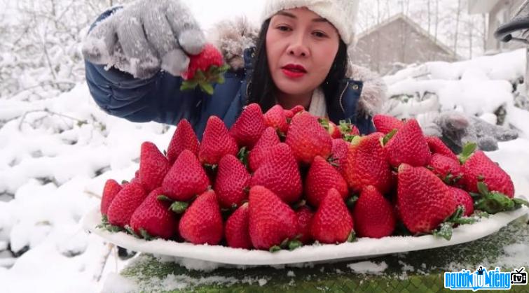  Youtuber Vinh Nguyen Thi causes a fever with a video of eating strawberries in the middle of a blizzard