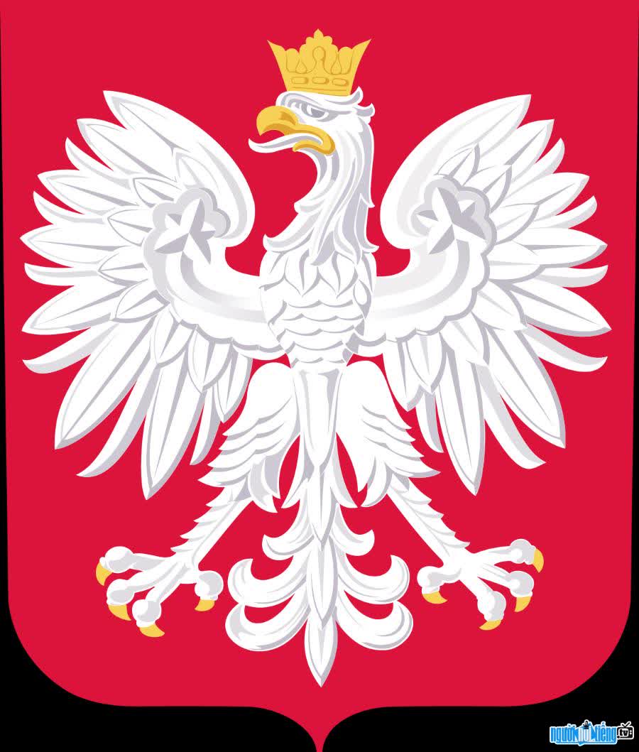Ảnh logo đội tuyển bóng đá quốc gia Ba Lan