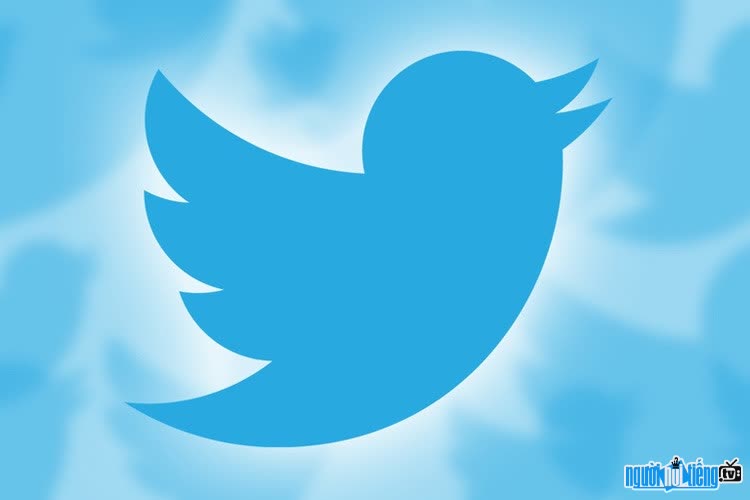 Image of social network icon Twitter