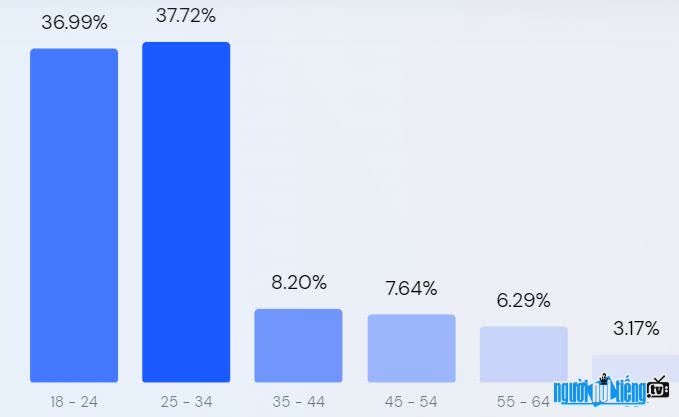 Biểu đồ lượng người dùng truy cập Vietgiaitri.com theo độ tuổi