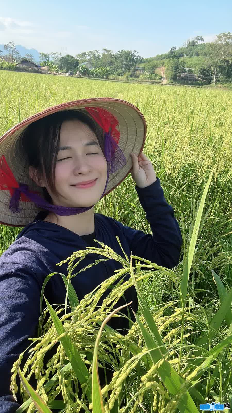 Tiktoker Nong Cam Quynh image in the field ripe rice