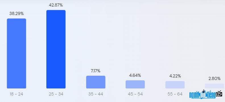  Age rating of customers searching on Luatvietnam page .VN