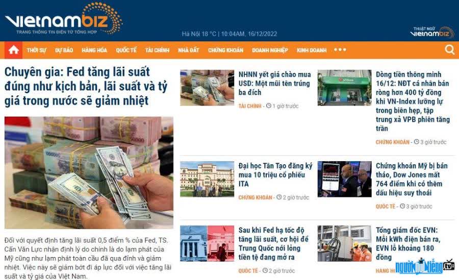 Hình ảnh giao diện của trang web Vietnambiz.vn
