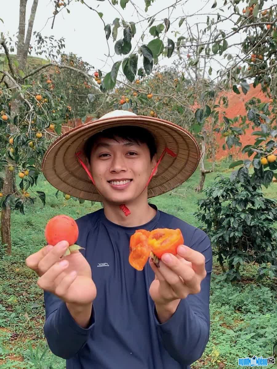 Picture of Tiktoker Truong Thanh Duy going to harvest persimmons