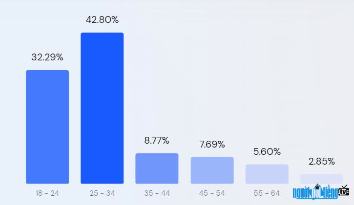  Graph of visitors to Vatgia.Com site by age