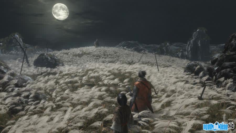 Sekiro: Shadows Die Twice gives players interesting experiences