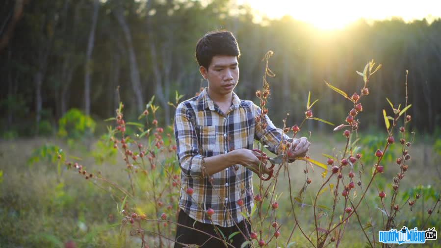 Dong Hao Cuisine Youtuber image harvesting red artichoke flowers