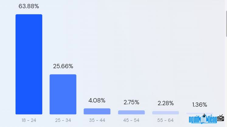 Customer chart of page visitors by age Game4v.com