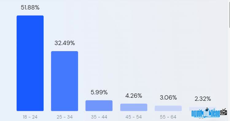 Age chart of customers accessing website Tangthuvien.vn