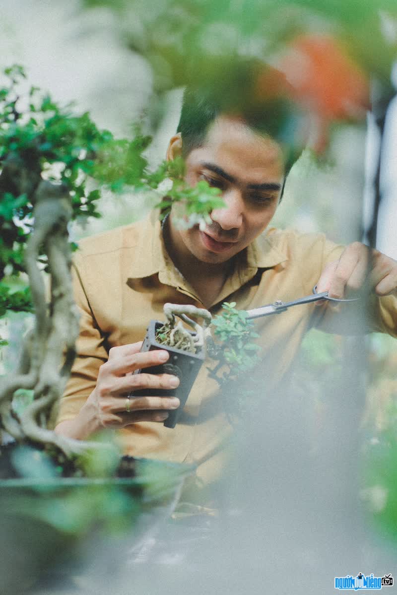 Image of Phieu Du Bonsai