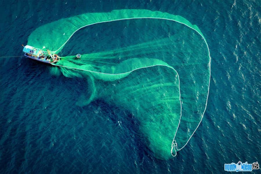 Năm 2023 bức ảnh "Cá heo trên biển" của Viết Hoàn giành giải nhất cuộc thi ảnh ProArtist Awards