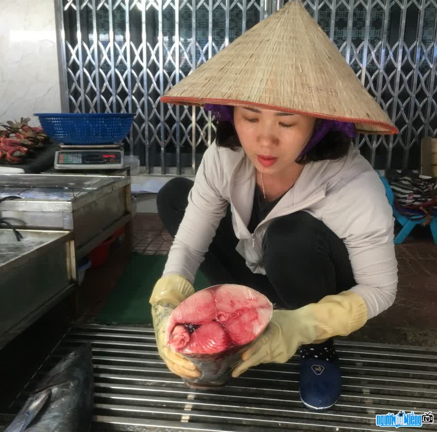 TikToker Hải Sản Thọ Phương được mệnh danh là chị gái bán hải sản khéo nhất Vịnh Bắc Bộ