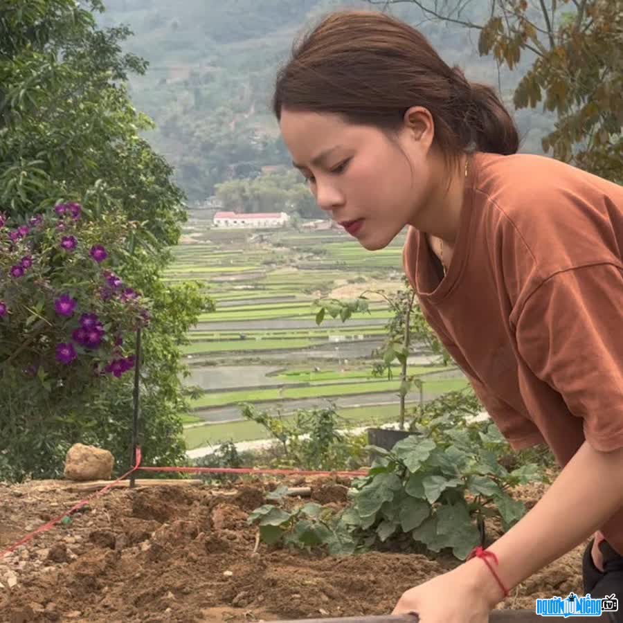 TikToker Tày Farmer chia sẻ cuộc sống của nông dân vùng cao