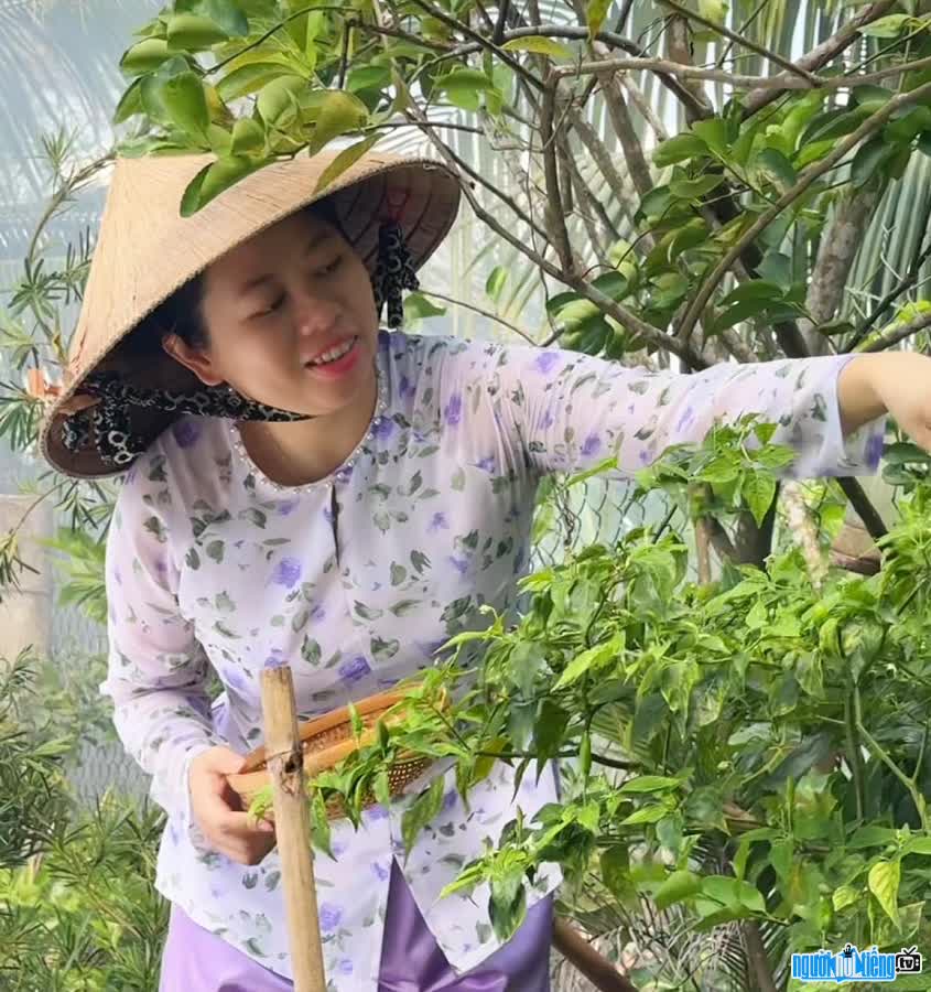 TikToker Kênh Của Mỹ chia sẻ cuộc sống đồng quê