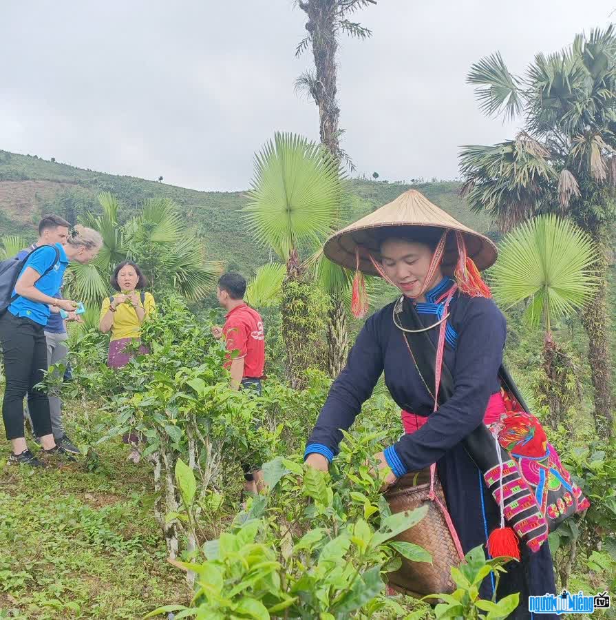 Hiện tượng mạng Vàng Thị Thông góp phần phát triển du lịch địa phương