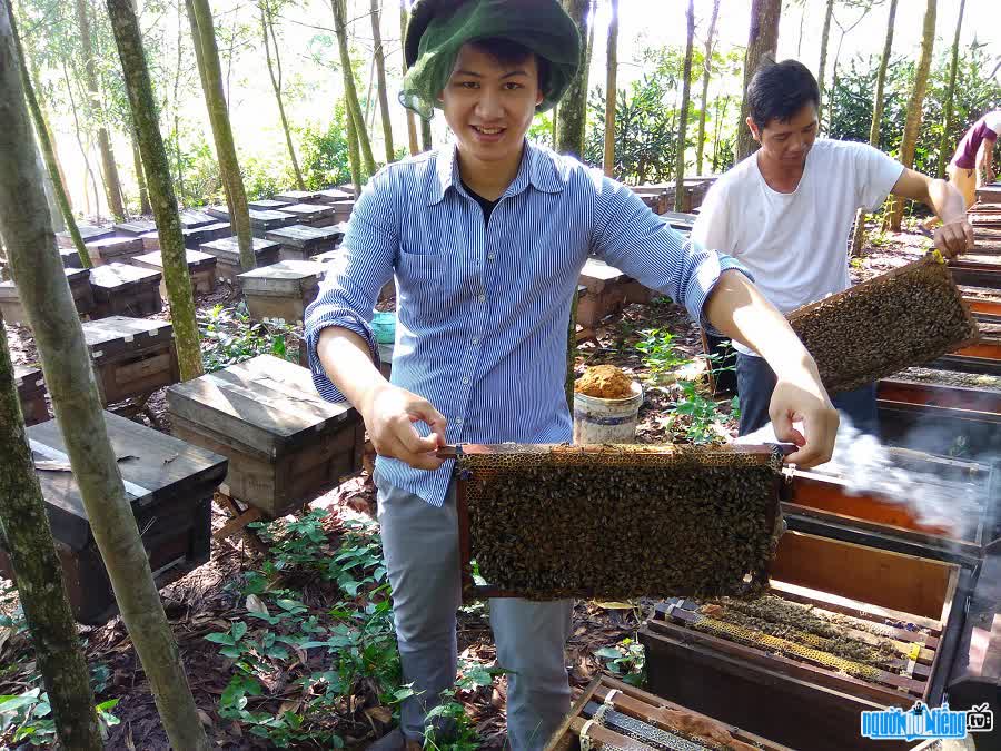 Bác sĩ Dũng Trần thu hoạch mật ong