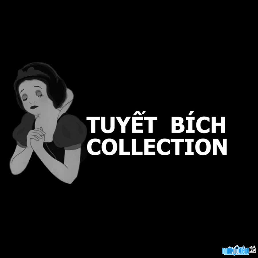Fanpage Tuyết Bích Collection - bựa nhưng vui