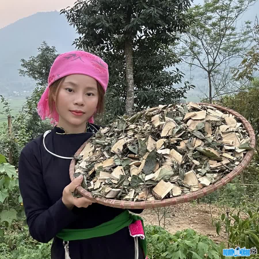 TikToker Tày Farmer kinh doanh dược liệu Tây Bắc