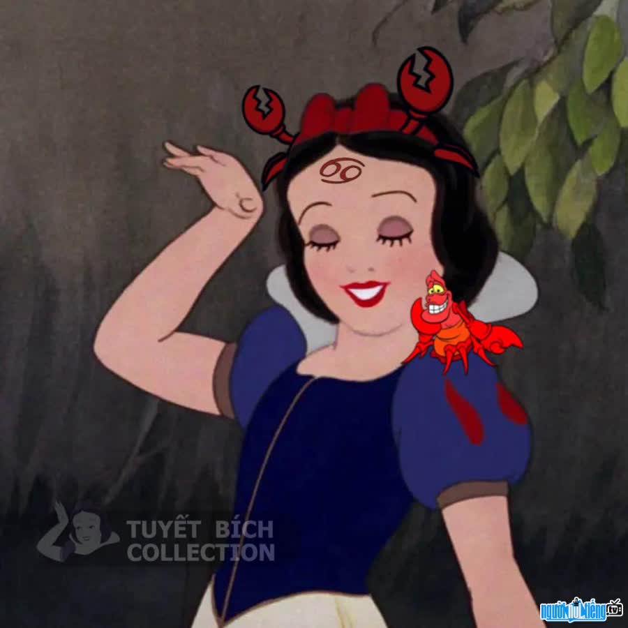 Fanpage Tuyết Bích Collection gây sốt với những meme hài hước