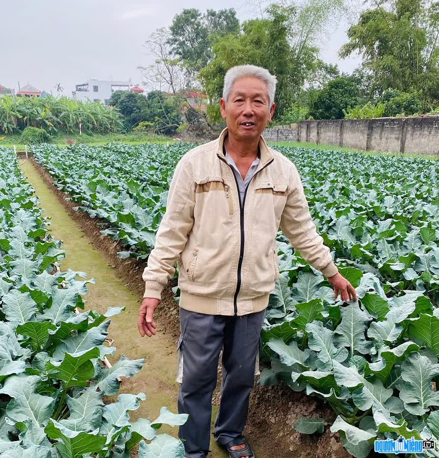 Ảnh của Ông Lương Làm Nông