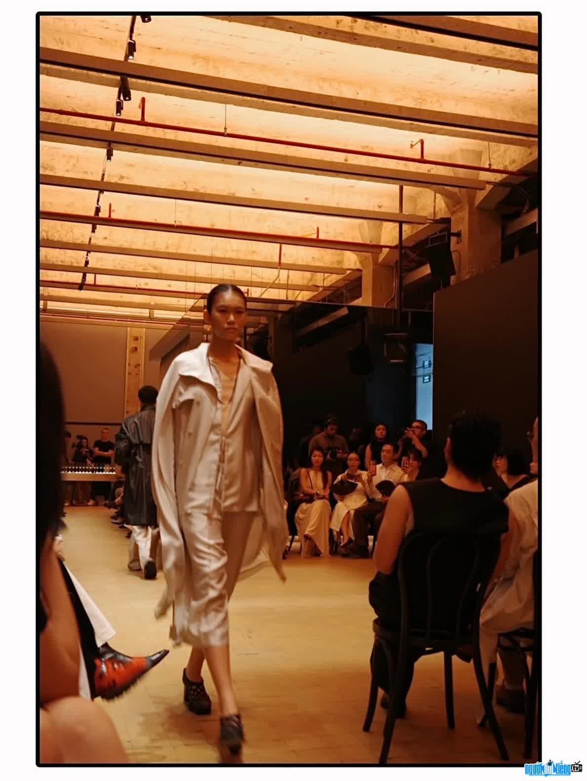 Hình ảnh Ái Băng trên sàn catwalk
