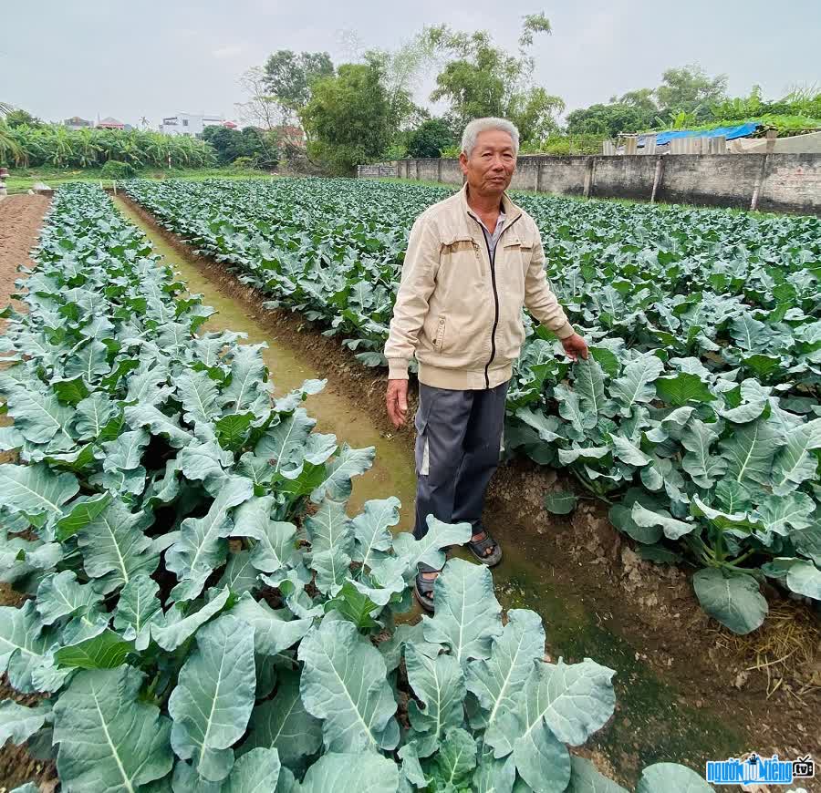 TikToker Ông Lương Làm Nông chia sẻ cuộc sống của nhà nông