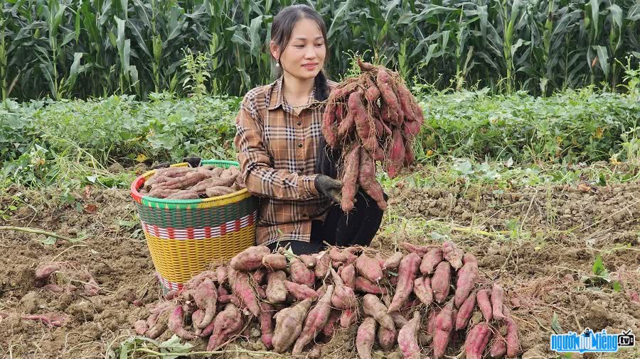 TikToker Hoang Nham Tren Ban chia se cuoc song ba con vung cao