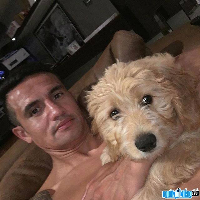The latest picture of Footballer Tim Cahill