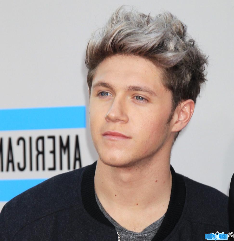  Niall Horan is a member of the boy band One Direction