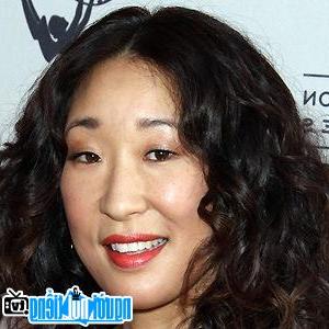 A Portrait Picture of Television Actress Sandra Oh picture