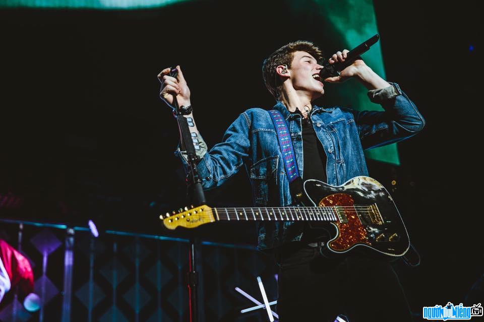 Shawn Mendes is one of the most famous pop singers in the world