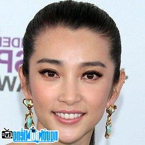 Một hình ảnh chân dung của Diễn viên nữ Li Bingbing