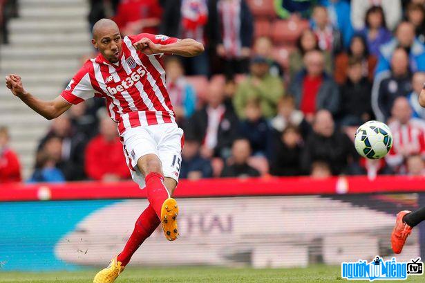 Steven N'zonzi football player picture on the field