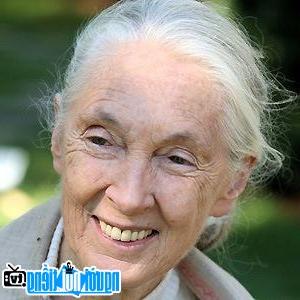 A new photo of Jane Goodall- Famous Scientist London- England