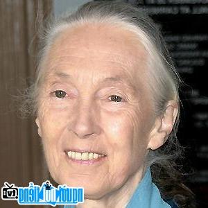 Latest picture of Scientist Jane Goodall