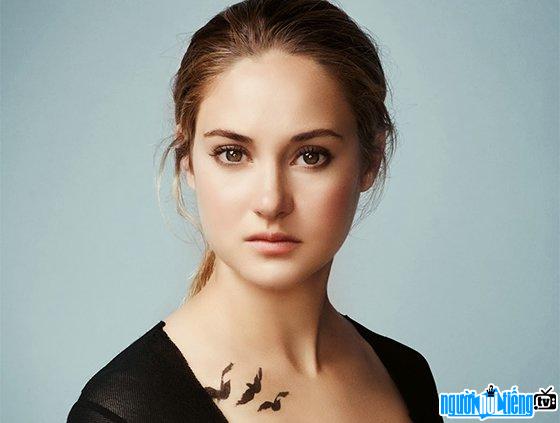 Image of Shailene Woodley