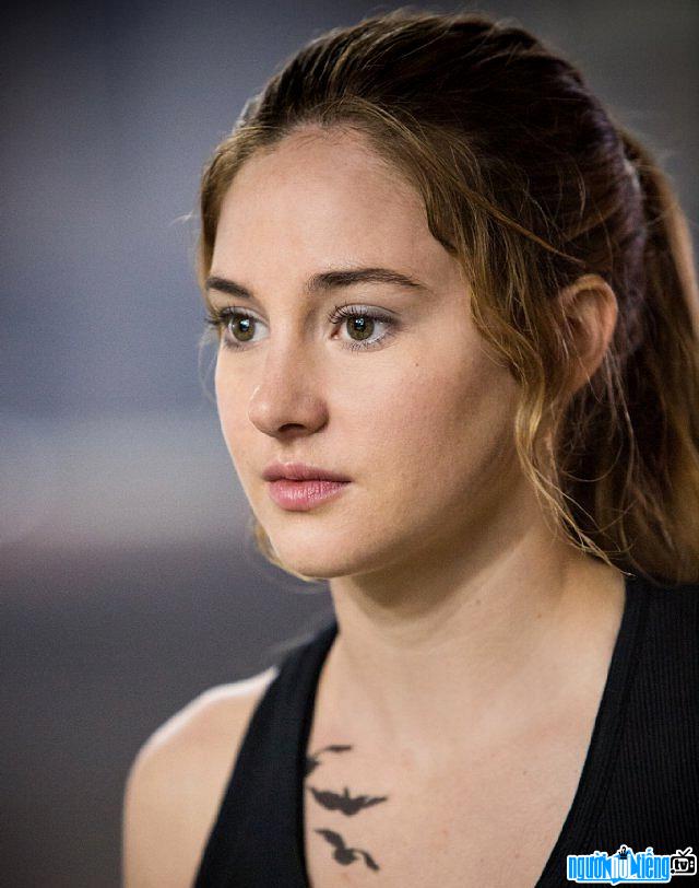 A Portrait Picture Of Actress Shailene Woodley