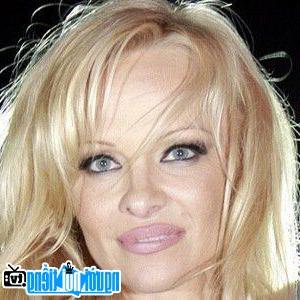 A New Picture of Pamela Anderson- Famous Canadian TV Actress