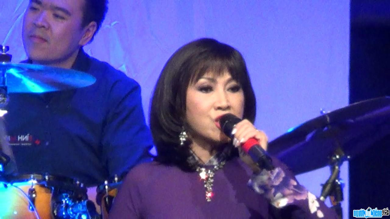  Latest pictures of singer Phuong Hong Ngoc in the Netherlands